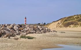 Studio 25 M2 A 100M De La Plage